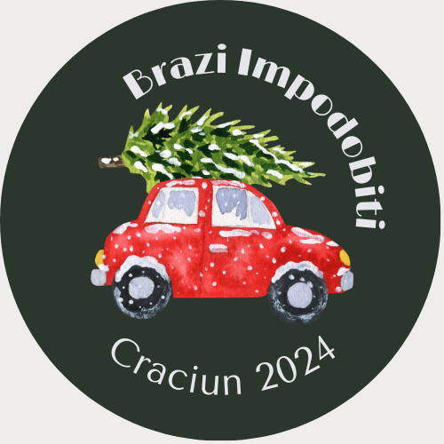 Brazi Magici de Craciun